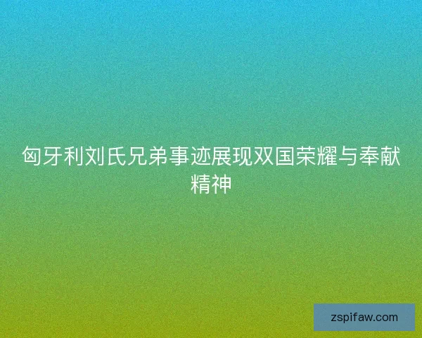 匈牙利刘氏兄弟事迹展现双国荣耀与奉献精神